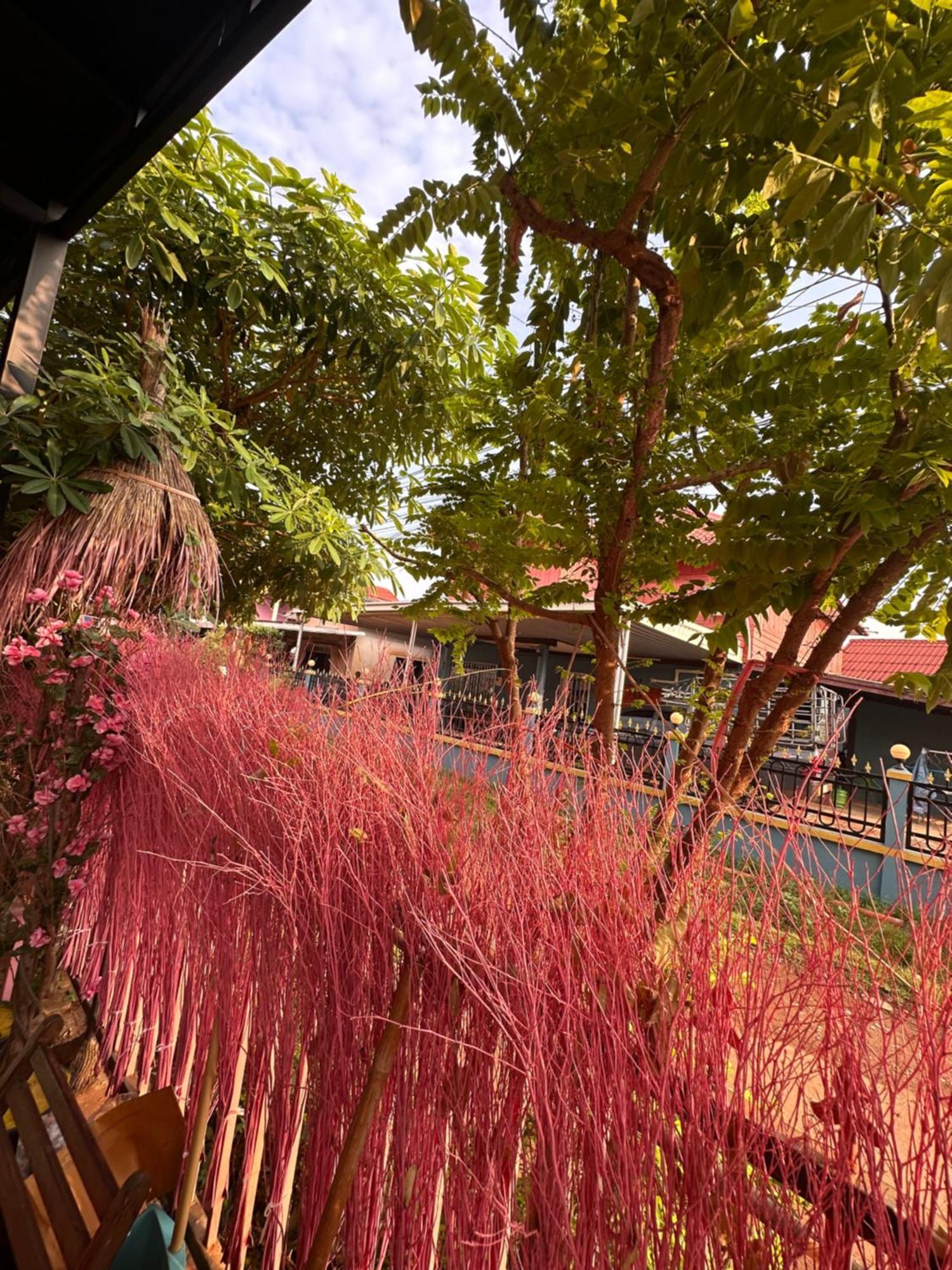 Heaven Guesthouse ปากเซ ภายนอก รูปภาพ